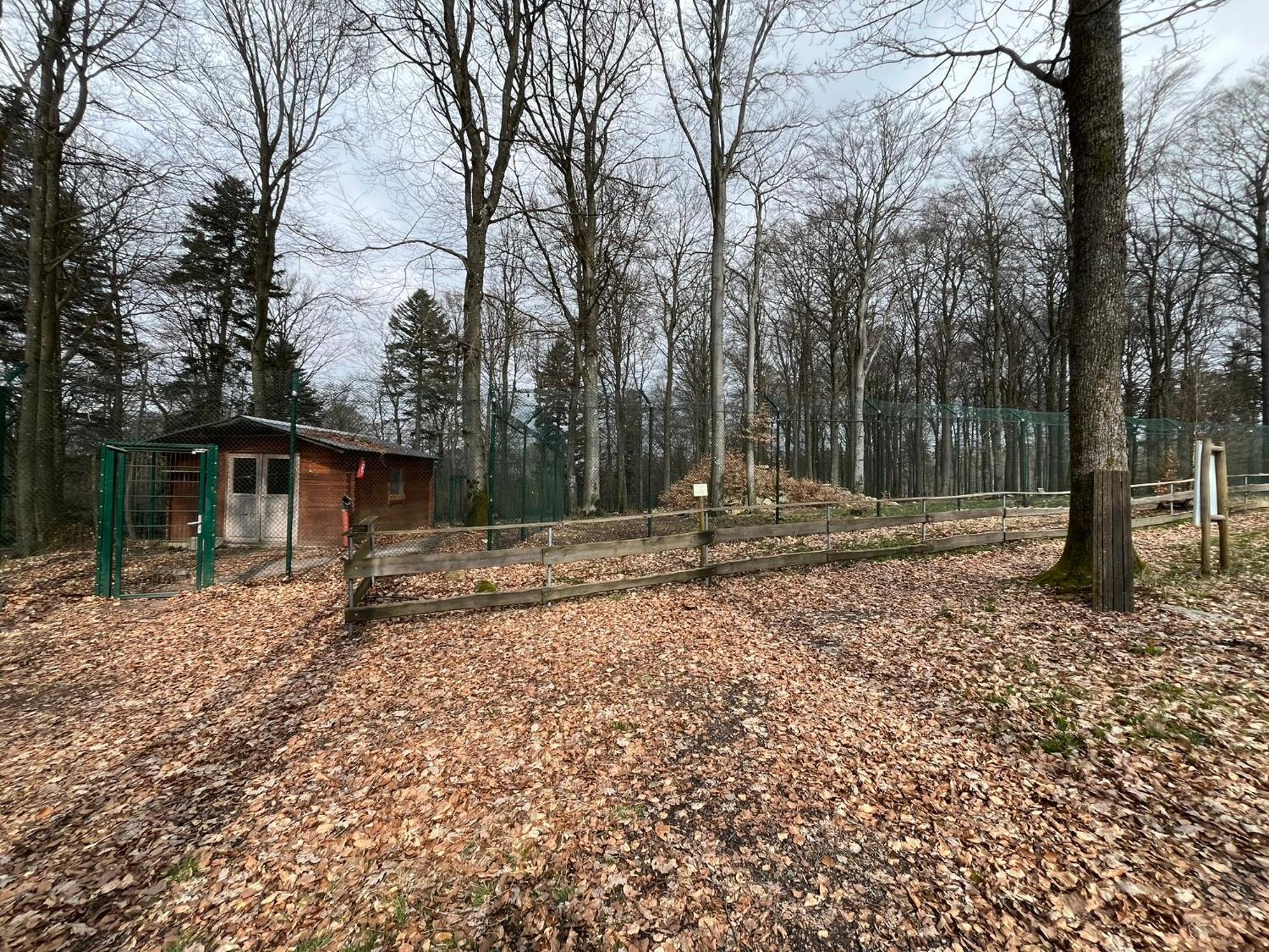 Hochwald Lodge Morbach Esterno foto